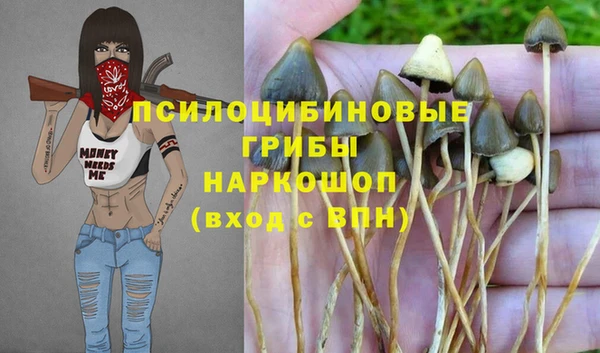 ALPHA-PVP Козловка